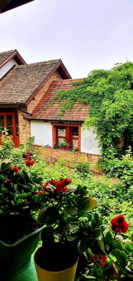 Ilkicev Kucerak Apartman Vrdnik Buitenkant foto