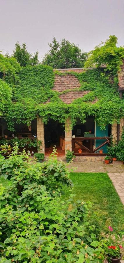 Ilkicev Kucerak Apartman Vrdnik Buitenkant foto