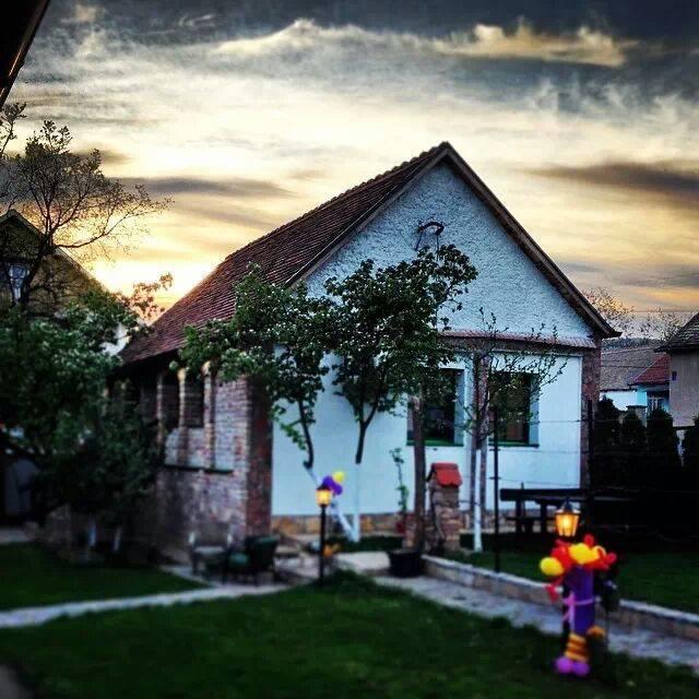 Ilkicev Kucerak Apartman Vrdnik Buitenkant foto